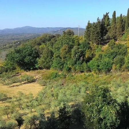 La Casa Dei Sogni *