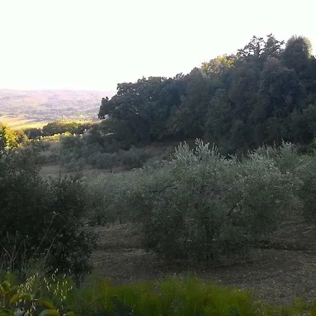 La Casa Dei Sogni Apartmán Monteverdi Marittimo